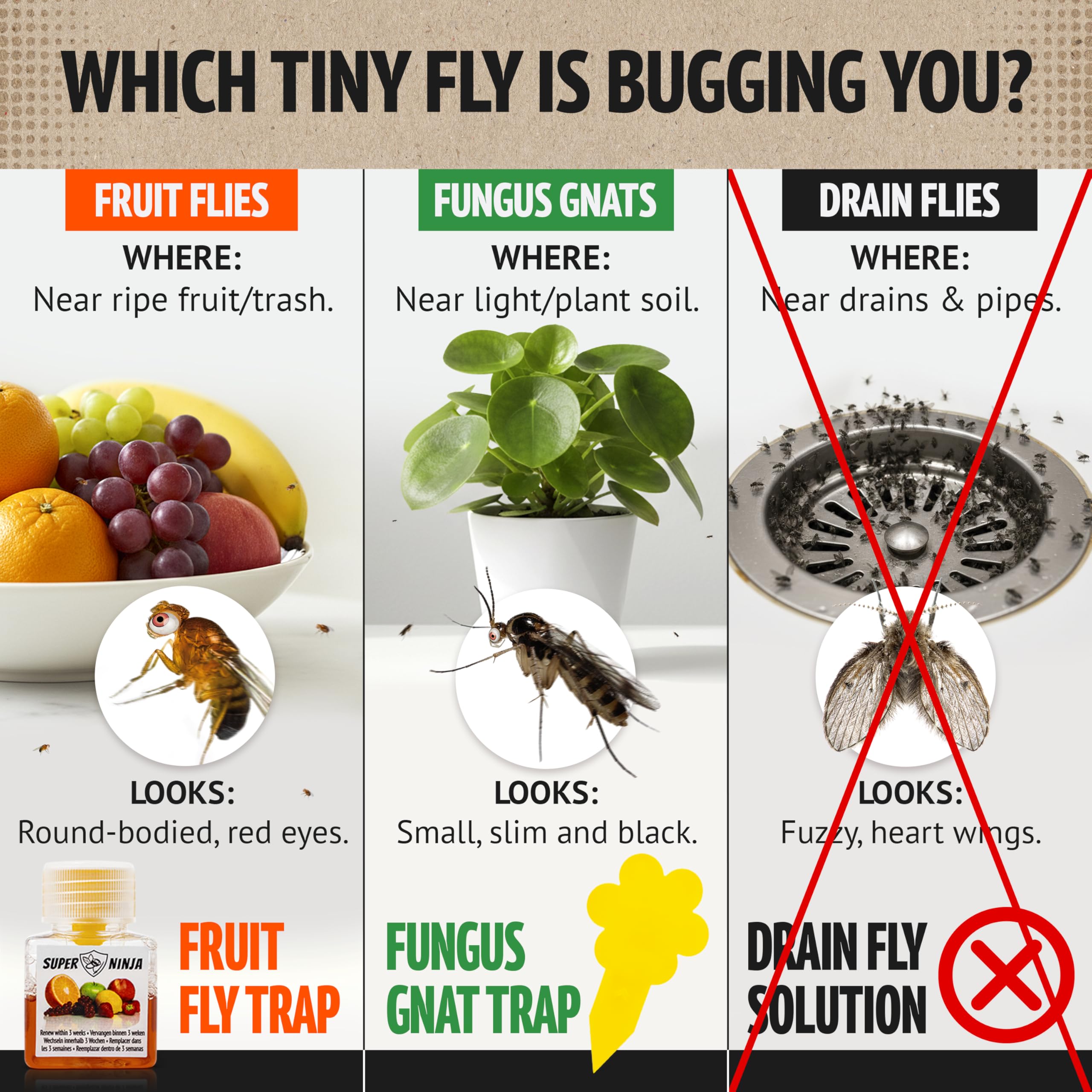 Close-up of Super Ninja fruit fly trap bottle with natural bait for quick attraction