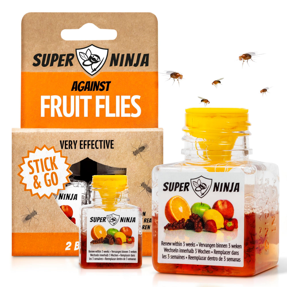 Super Ninja fruit fly trap on an indoor kitchen counter captures flies quickly