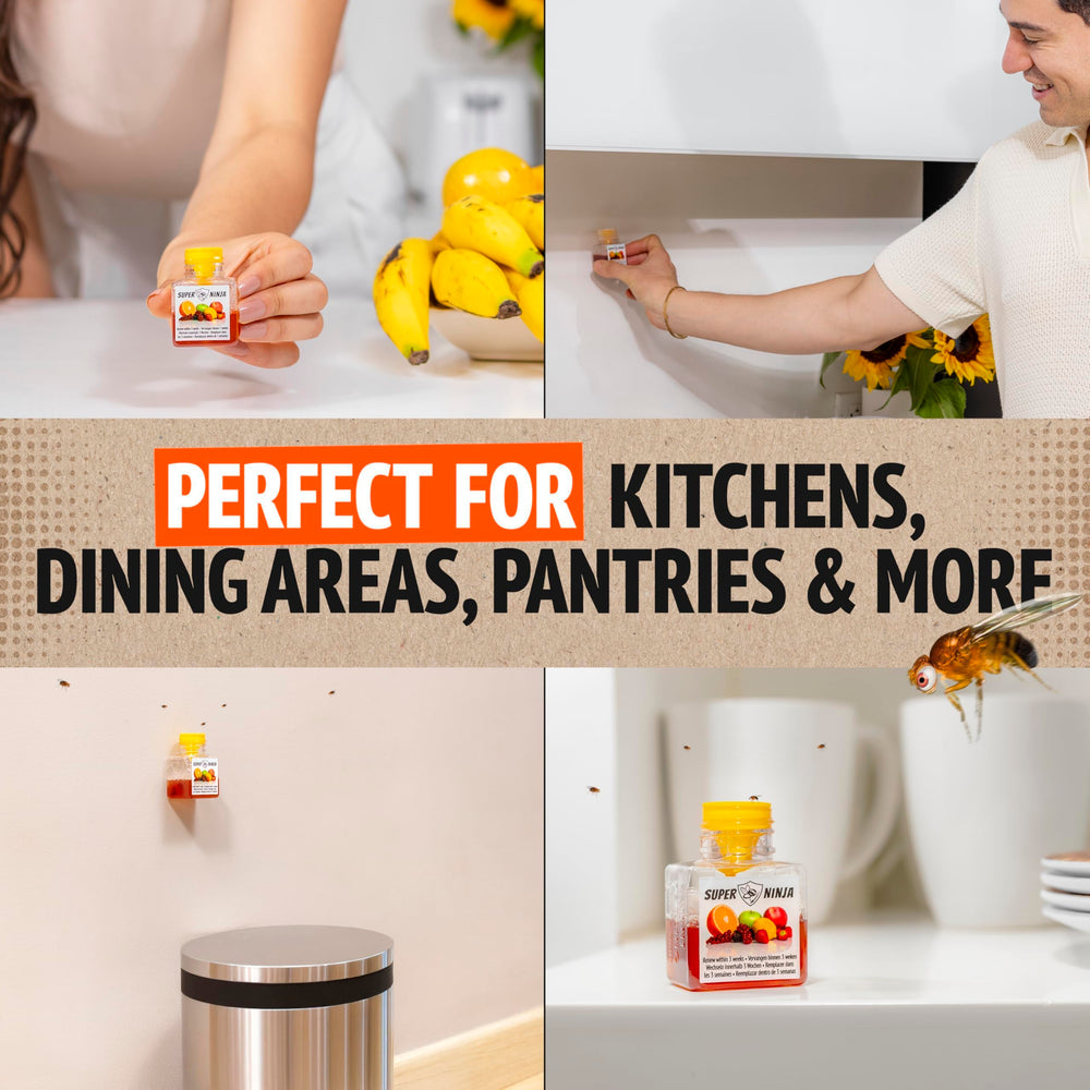 Sustainable packaging reduces waste while keeping spaces clean
