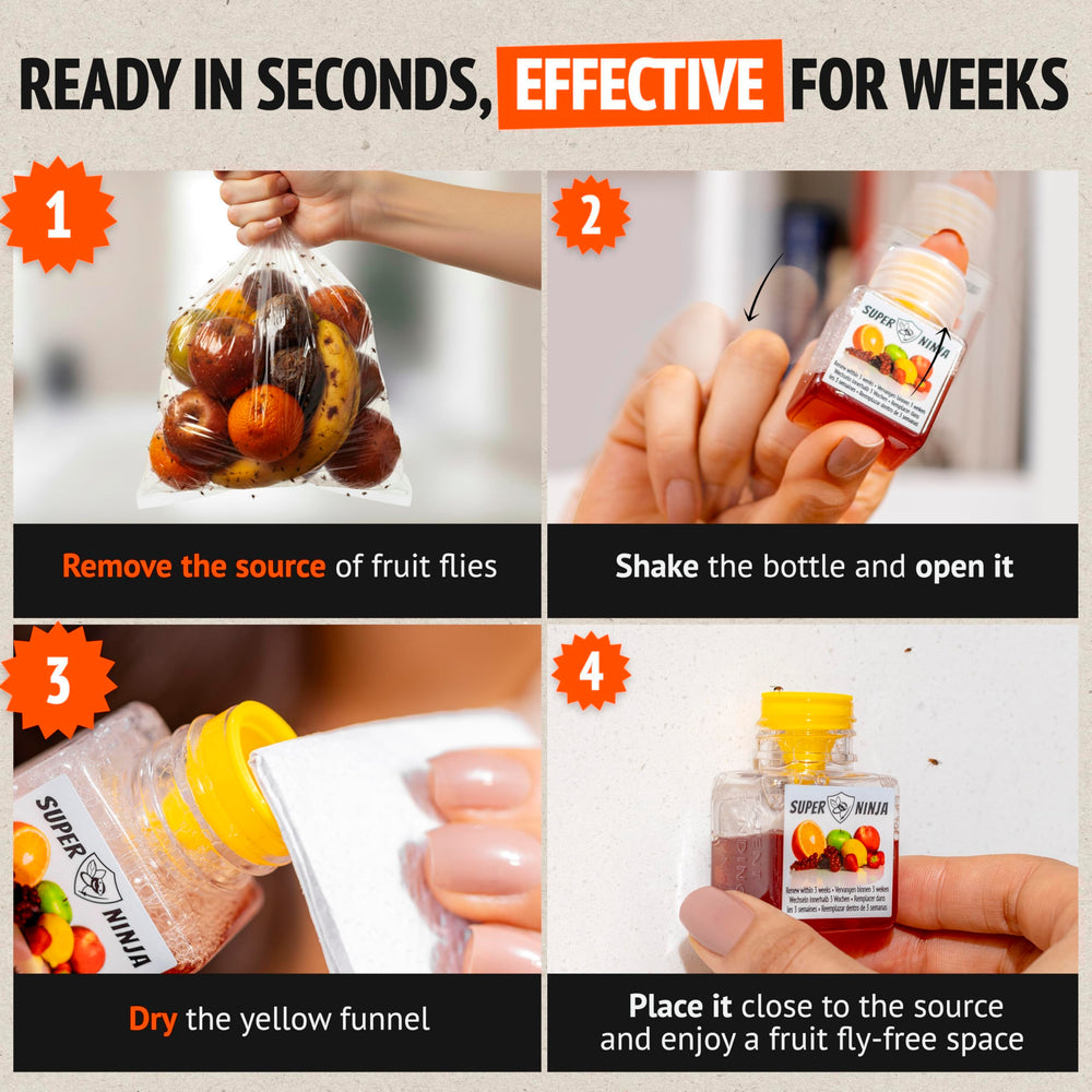 Up to 3 weeks of protection with the Super Ninja fruit fly trap