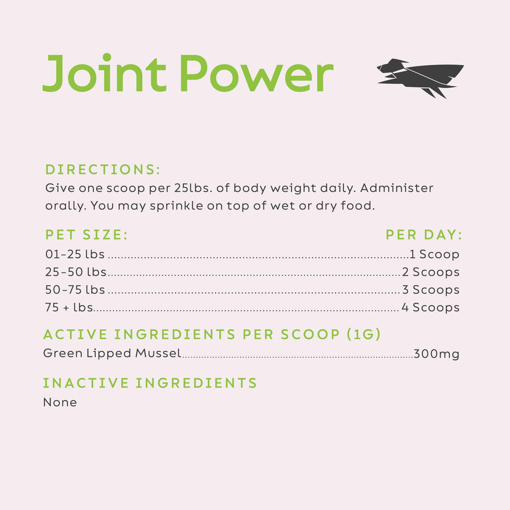 Dog on a walk with Joint Power supporting mobility