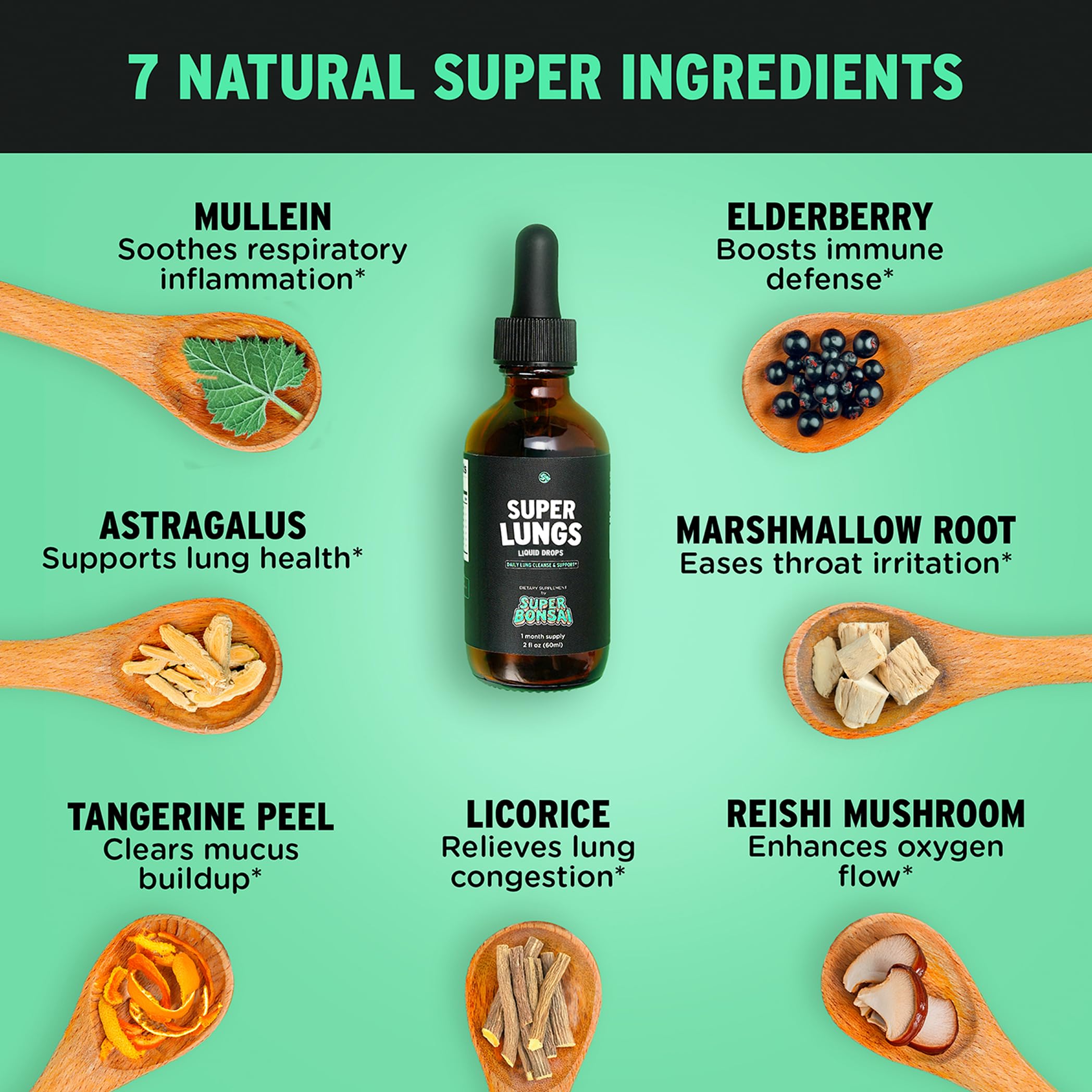 SuperBonsai Elderberry Reishi botanicals bottle foreground promotes seasonal wellness