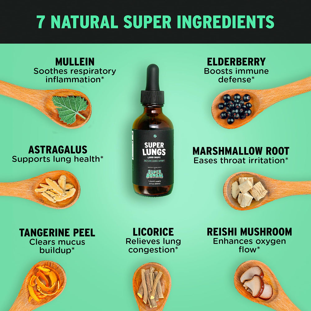 SuperBonsai Elderberry Reishi botanicals bottle foreground promotes seasonal wellness