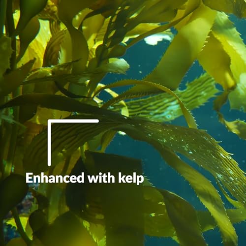 SUPERthrive with kelp provides added nutrients for healthier foliage.