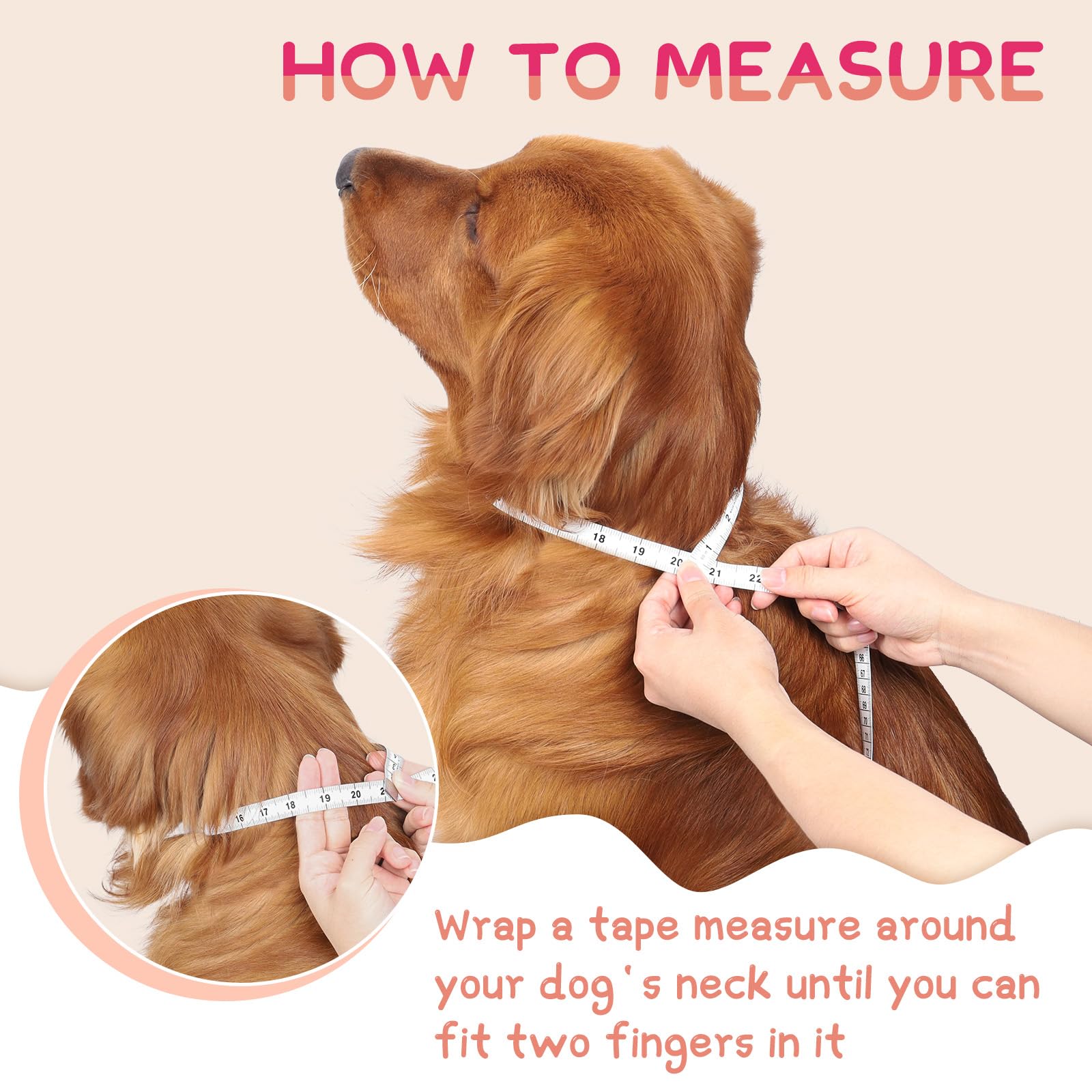 Supet cone packaging and setup tips encourage smooth acclimation.