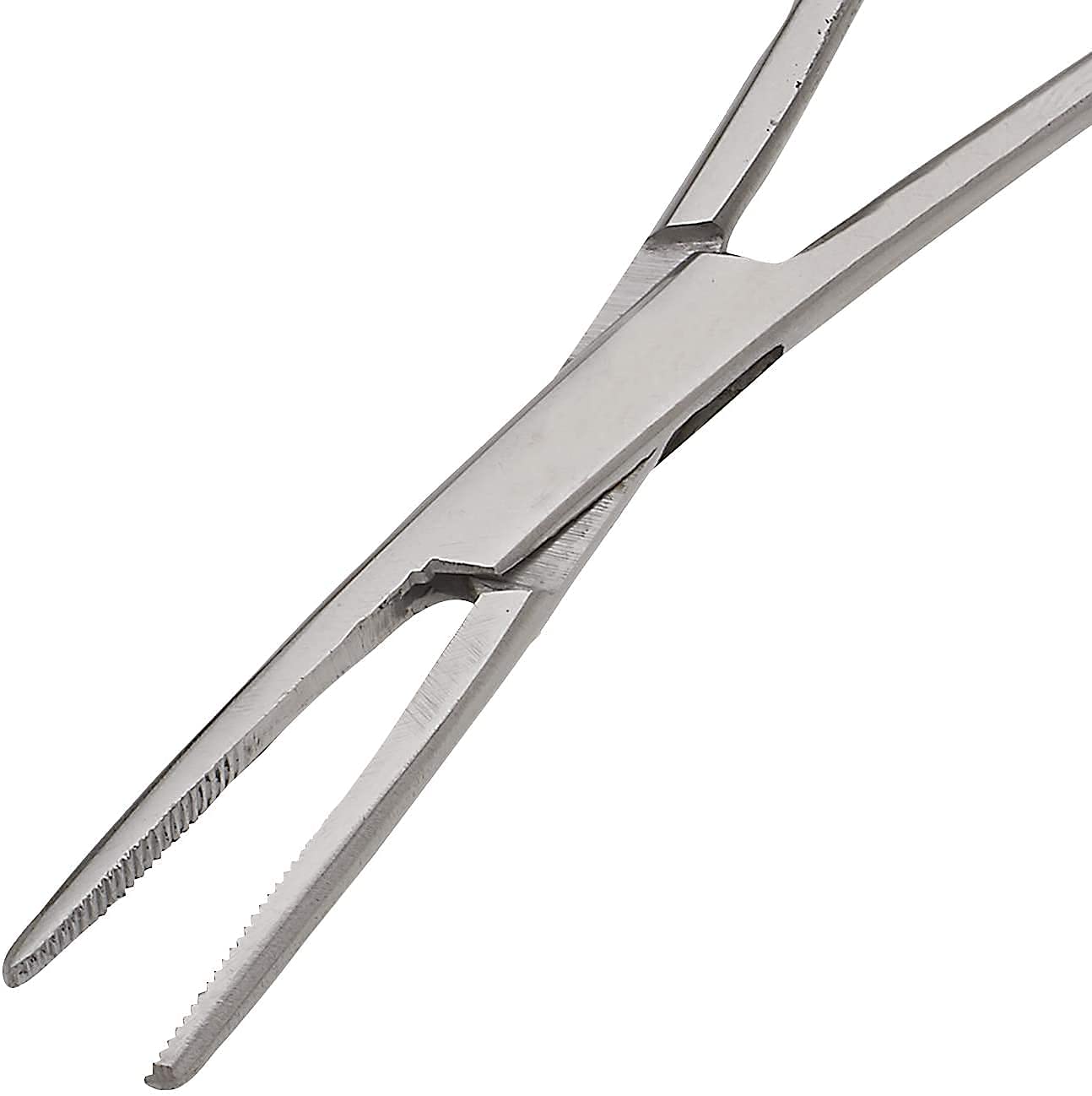 SURGICAL ONLINE serrated jaws close-up for secure hold on tiny items.