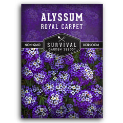 Survival Garden Seeds purple alyssum fragrance enhances border plantings.