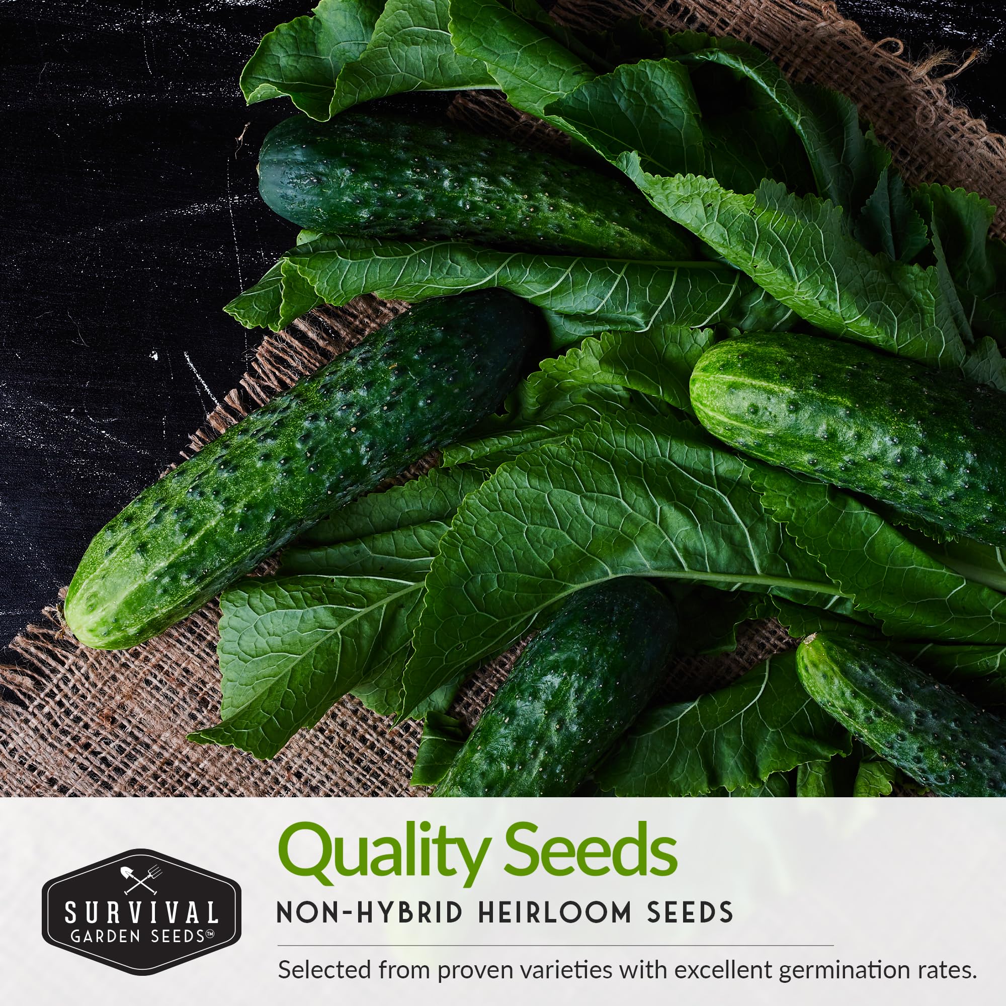 Survival Garden Seeds butternut squash seed vault for easy, hearty meals.