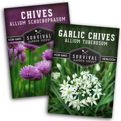 SURVIVAL GARDEN SEEDS chive seed collection pack for fresh herbs at home