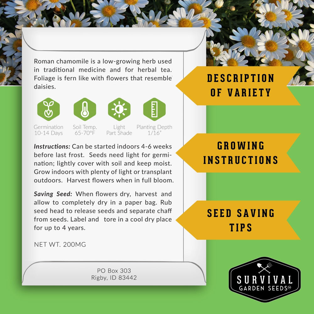 Survival Garden Seeds Chocolate Cherry Sunflower seeds boost cheerful focal points in sunny beds