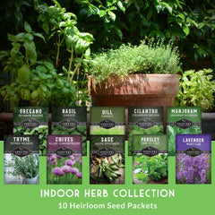 SURVIVAL GARDEN SEEDS cilantro-seeds for bright garnish and flavor.