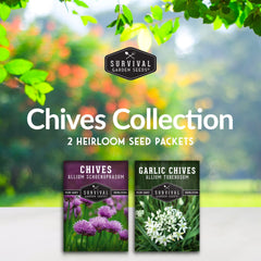 SURVIVAL GARDEN SEEDS common chives seeds easy perennials for pots and borders