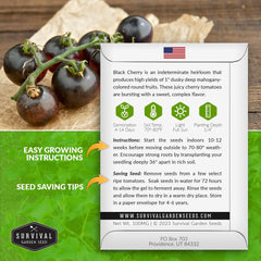 Survival Garden Seeds dark purple cherry tomatoes – rich color adds drama to salads and snacks.