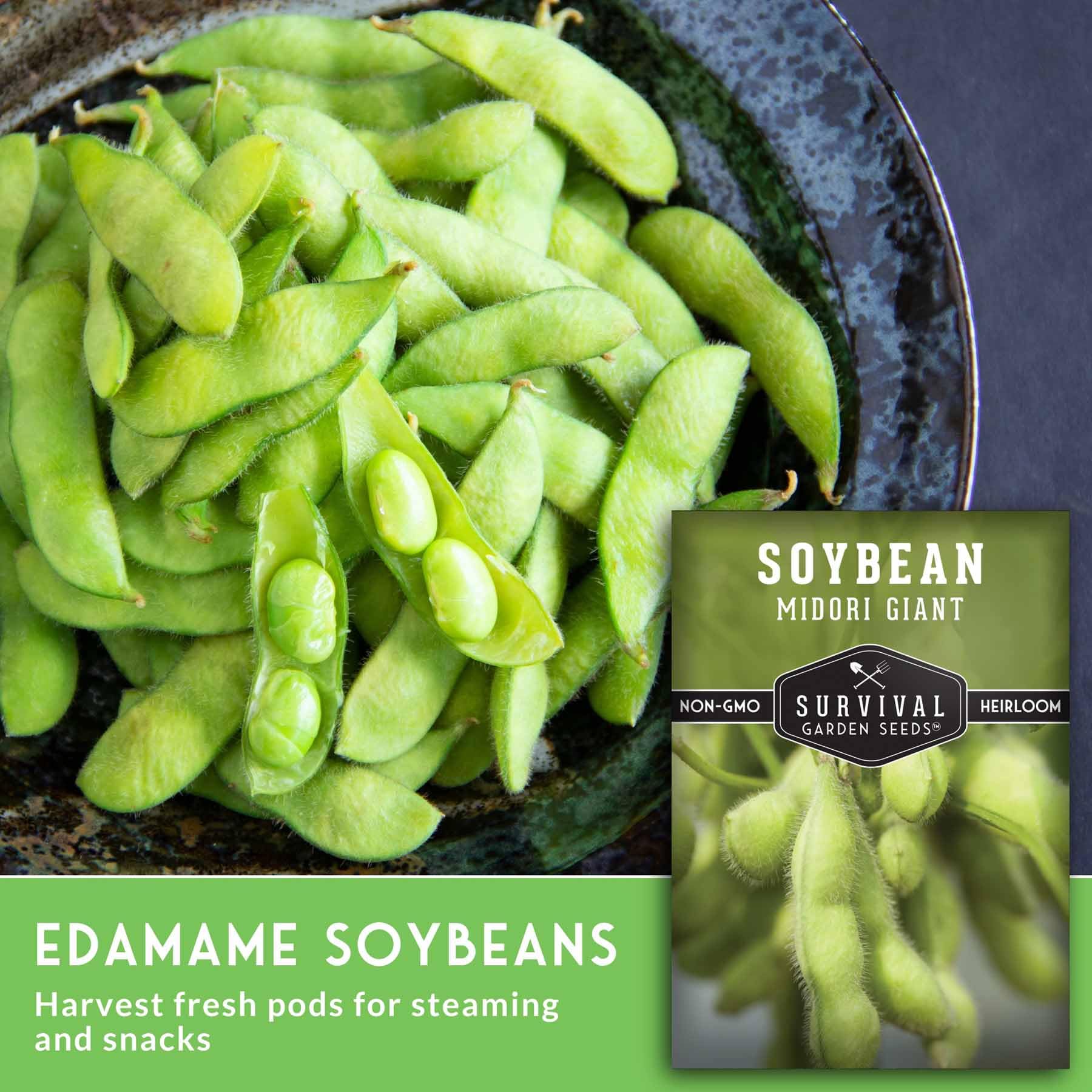 SURVIVAL GARDEN SEEDS edamame-pods-fresh ready for steaming at home