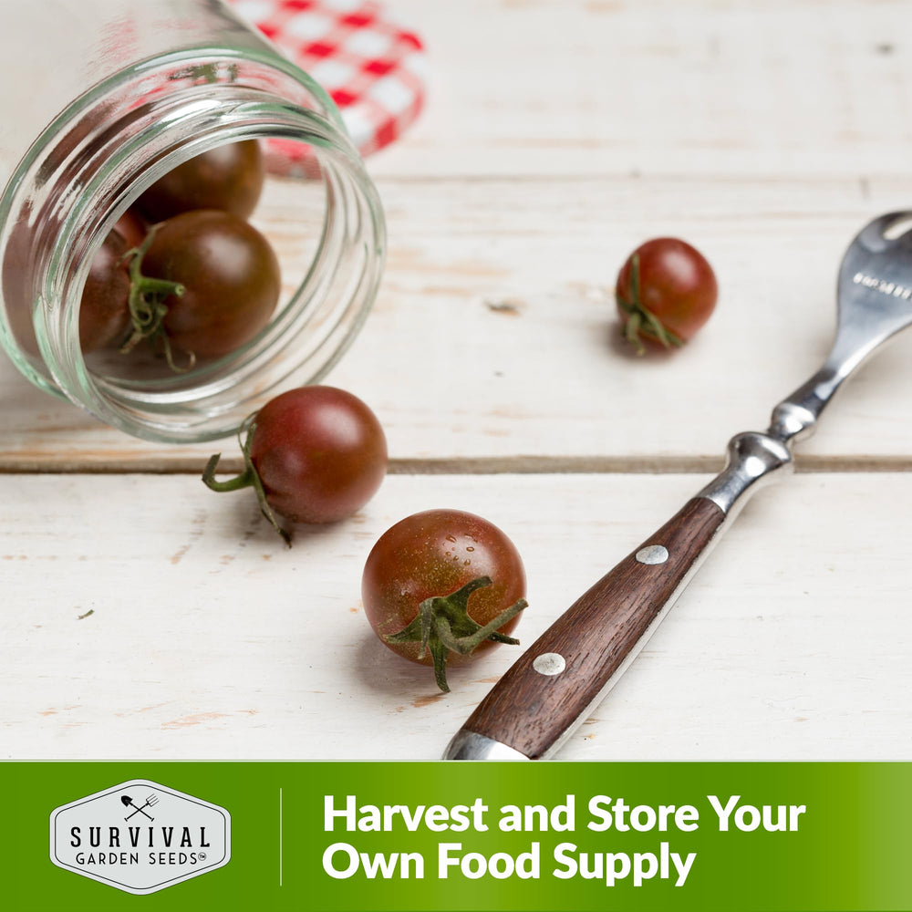 Survival Garden Seeds garden harvest – sweet dark fruit ideal for fresh eating.