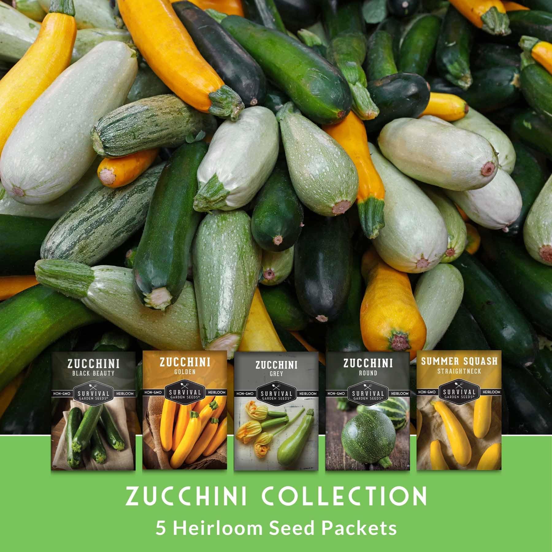 SURVIVAL GARDEN SEEDS Golden Zucchini seeds for sunny summer meals
