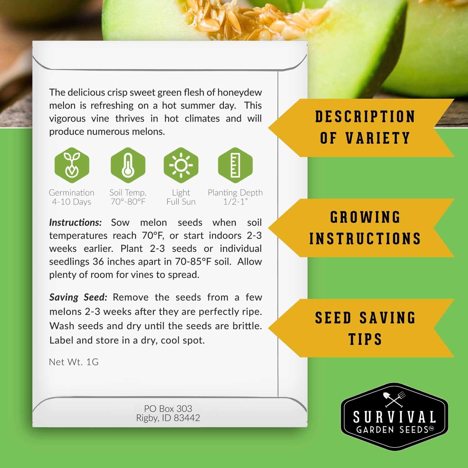 Survival Garden Seeds Ground Cherries seeds ideal for snacks and garden beds.
