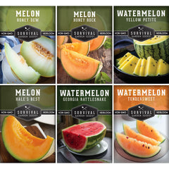 Survival Garden Seeds Honey Rock cantaloupe seeds for planting and sweet homegrown harvests.