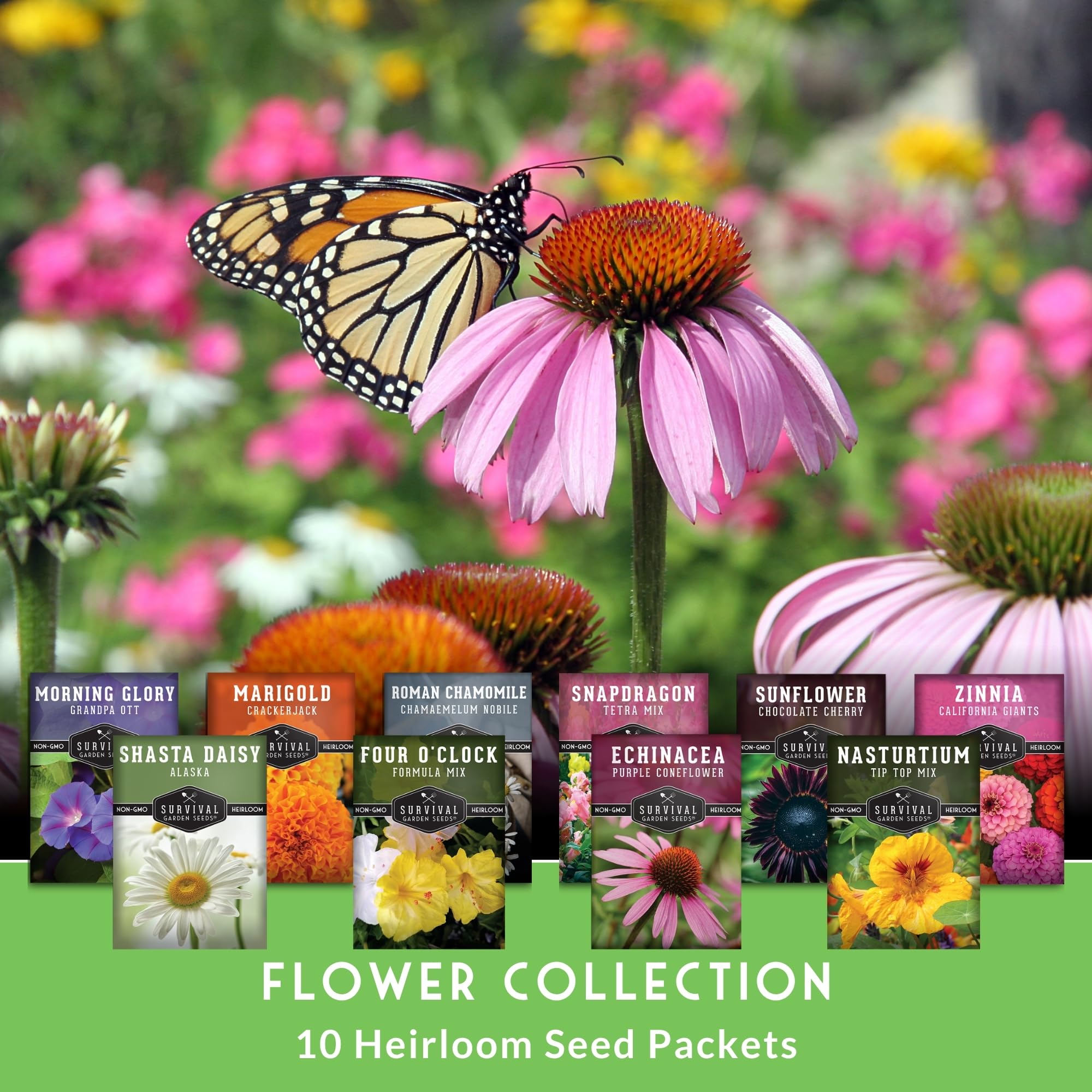 Survival Garden Seeds Marigold seeds for warm autumn color and easy garden upkeep