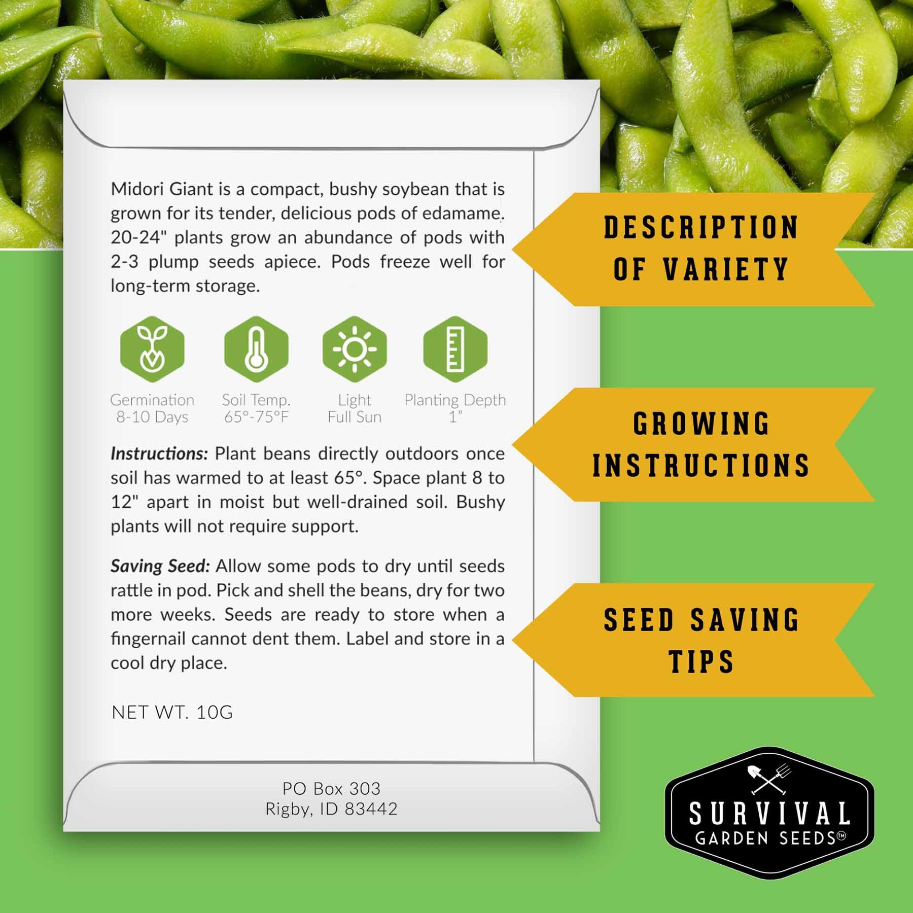 SURVIVAL GARDEN SEEDS Midori Giant soybean pods harvest for fresh edamame