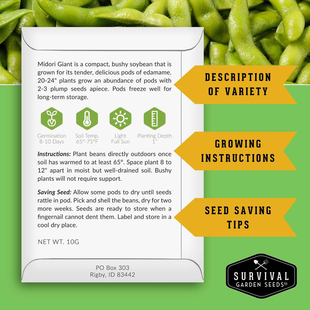SURVIVAL GARDEN SEEDS Midori Giant soybean pods harvest for fresh edamame