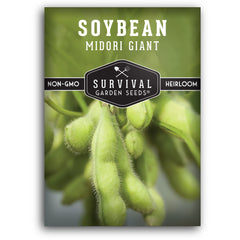 SURVIVAL GARDEN SEEDS Midori Giant soybean seeds pack for easy home gardening