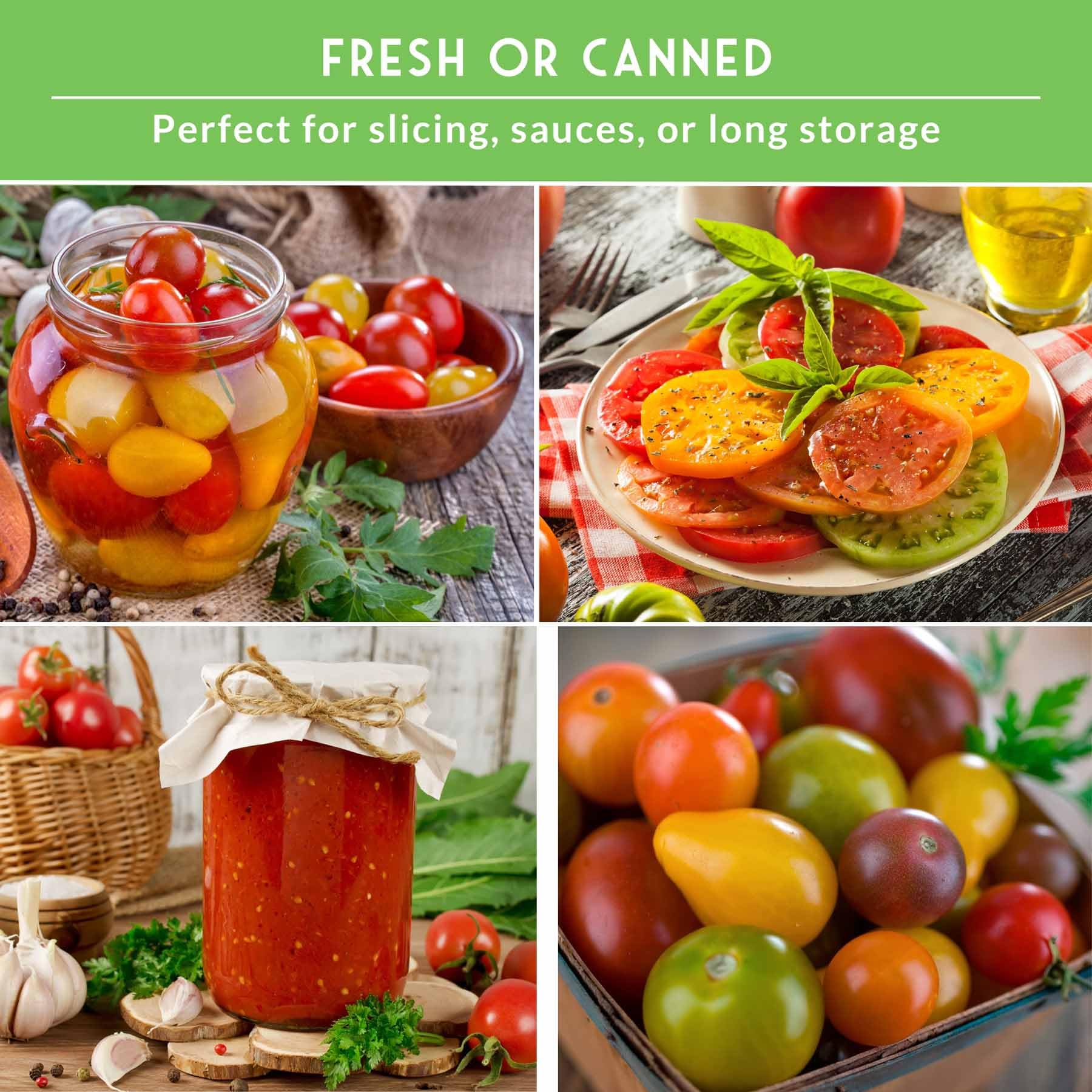 SURVIVAL GARDEN SEEDS Mortgage Lifter tomato seed designed for hearty yields and classic taste.