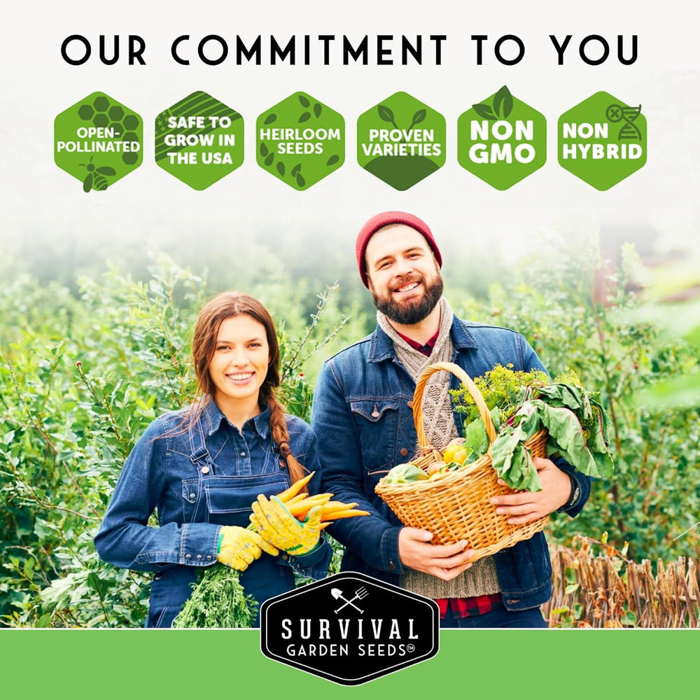 SURVIVAL GARDEN SEEDS Muncher comes from a family-owned USA seed company.