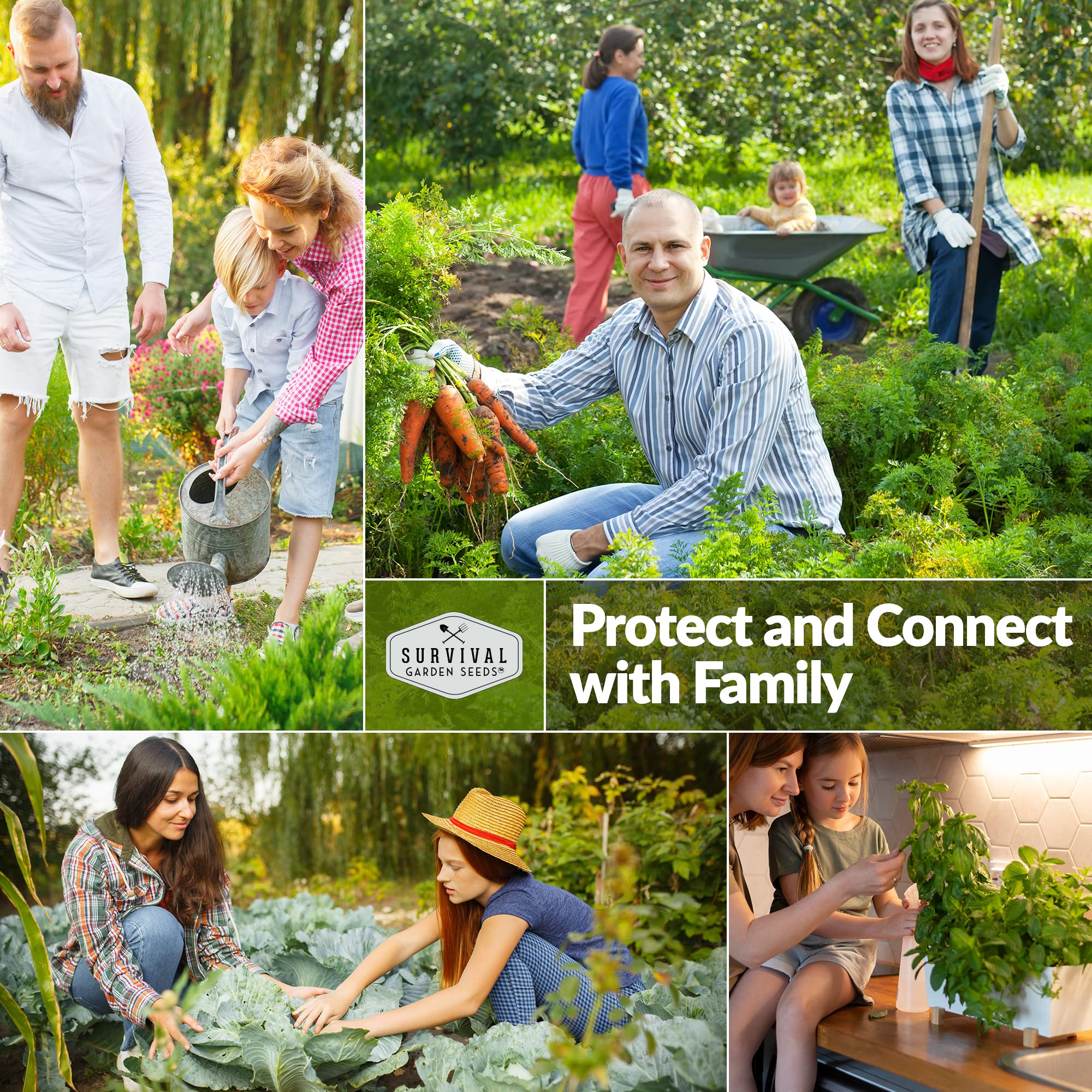 SURVIVAL GARDEN SEEDS Muncher vines deliver high yields in any setup.