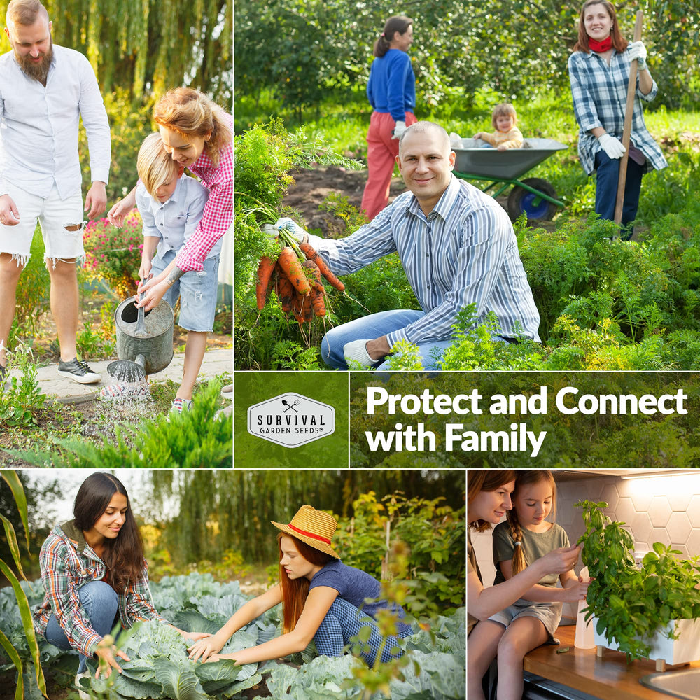 SURVIVAL GARDEN SEEDS Muncher vines deliver high yields in any setup.