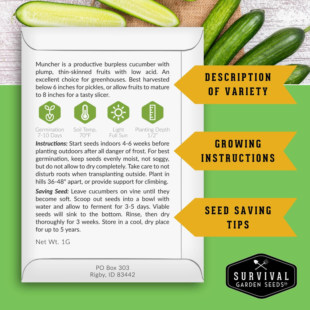 SURVIVAL GARDEN SEEDS Muncher cucumber offers smooth-skin for crisp slices.