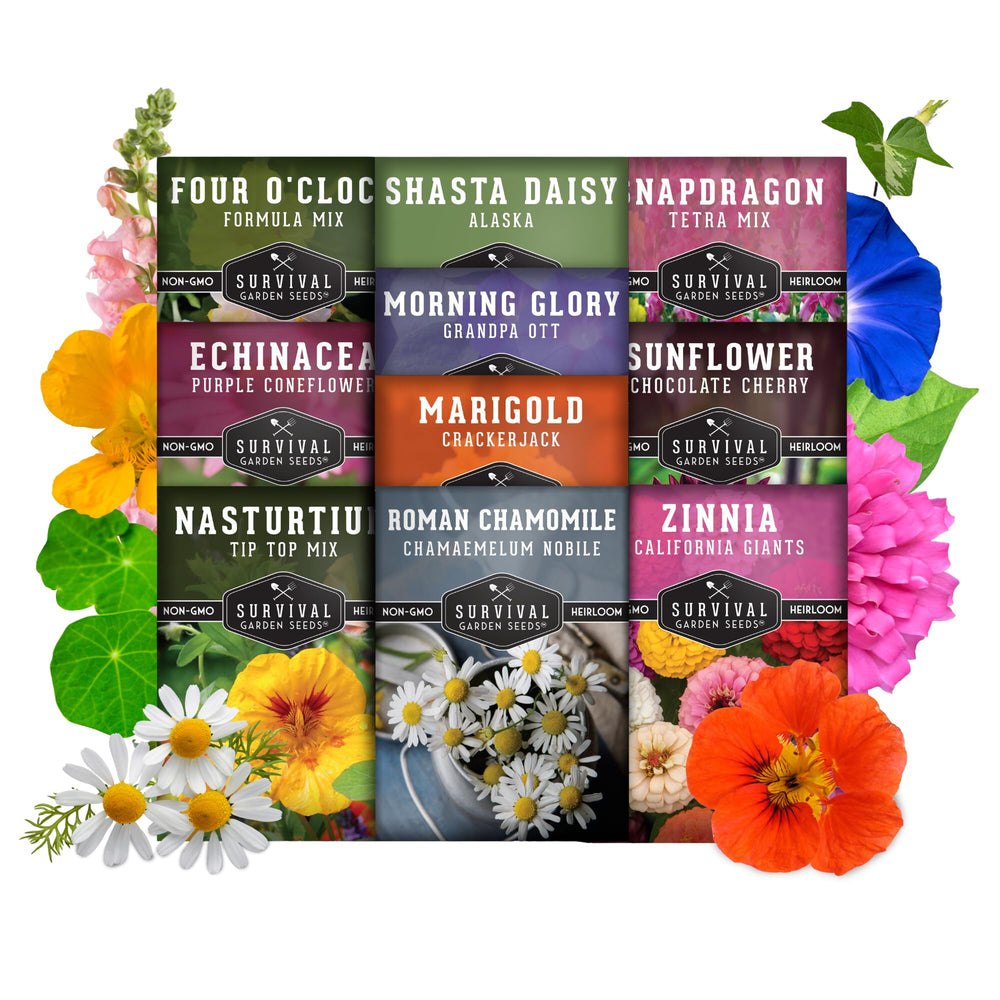 Survival Garden Seeds Nasturtium seeds brighten trails with edible leaves and airy blooms
