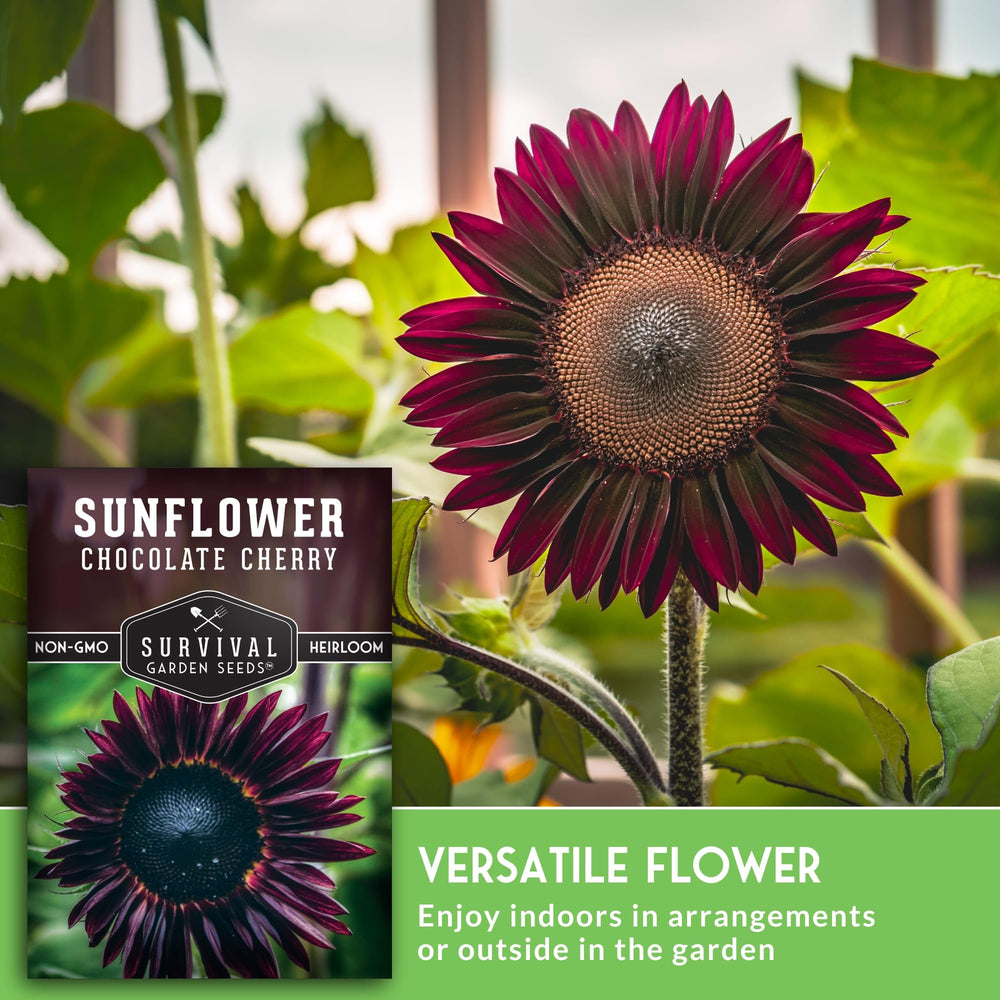 SURVIVAL GARDEN SEEDS non-GMO heirloom sunflower seeds, trusted quality.