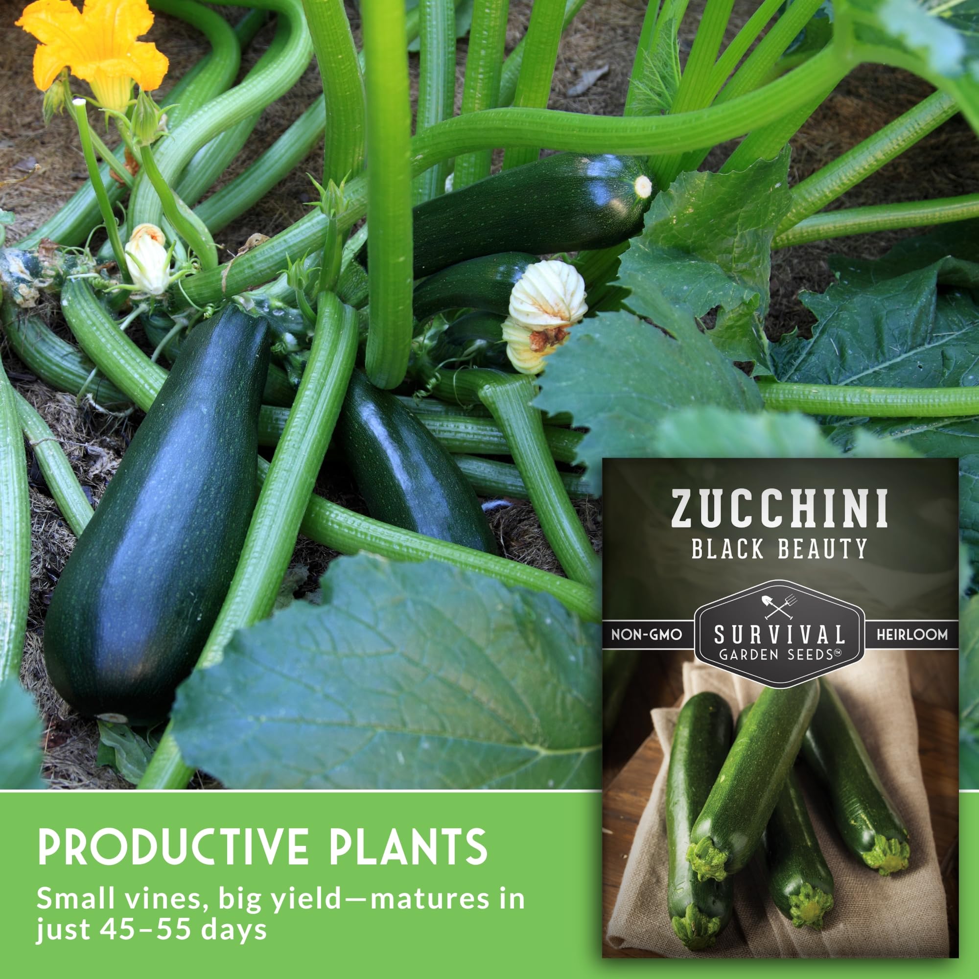 SURVIVAL GARDEN SEEDS Non-GMO heirloom seeds supporting open-pollination and reliability.