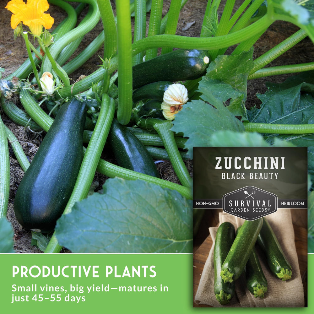 SURVIVAL GARDEN SEEDS Non-GMO heirloom seeds supporting open-pollination and reliability.
