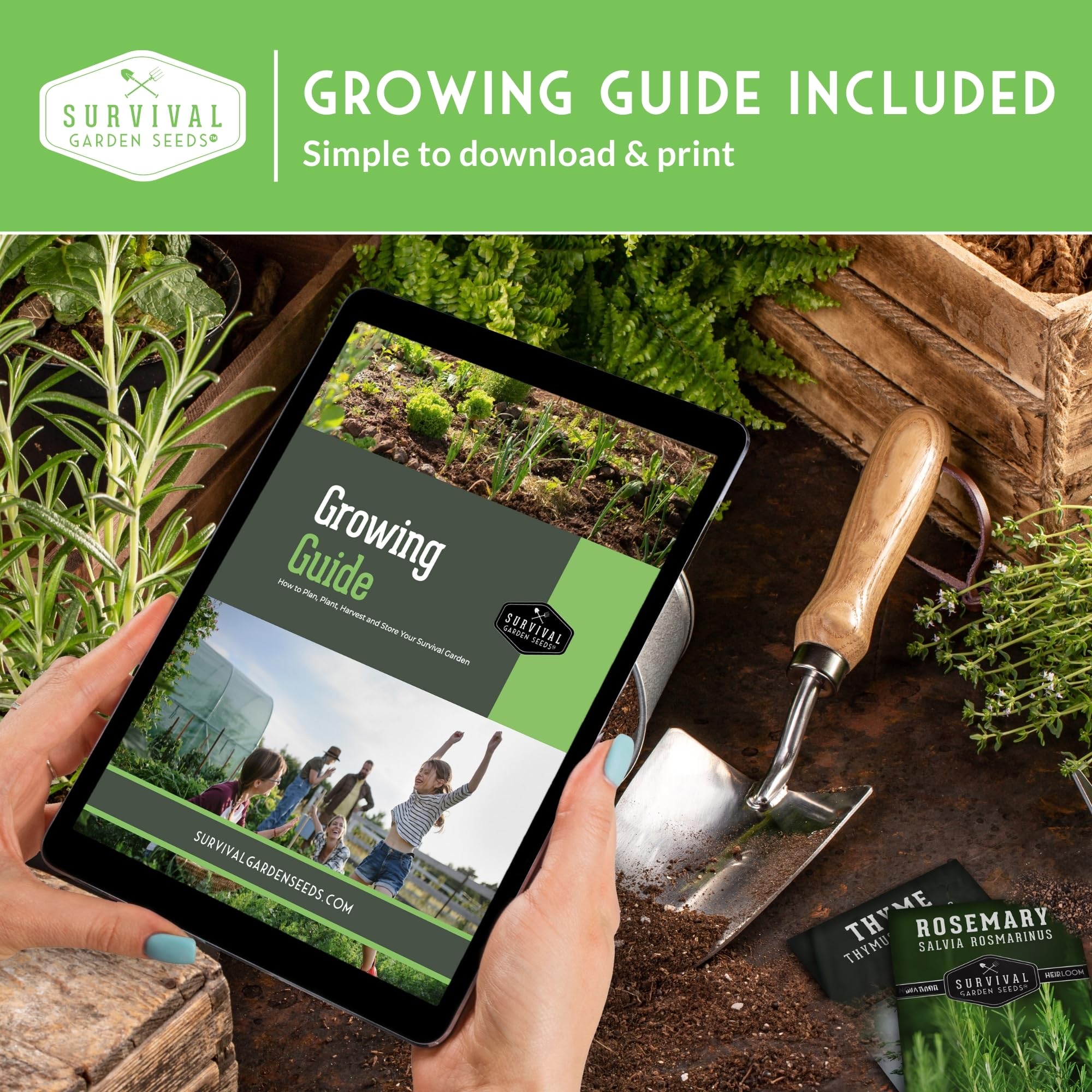 Open-pollinated non-GMO seeds from USA family-owned brand