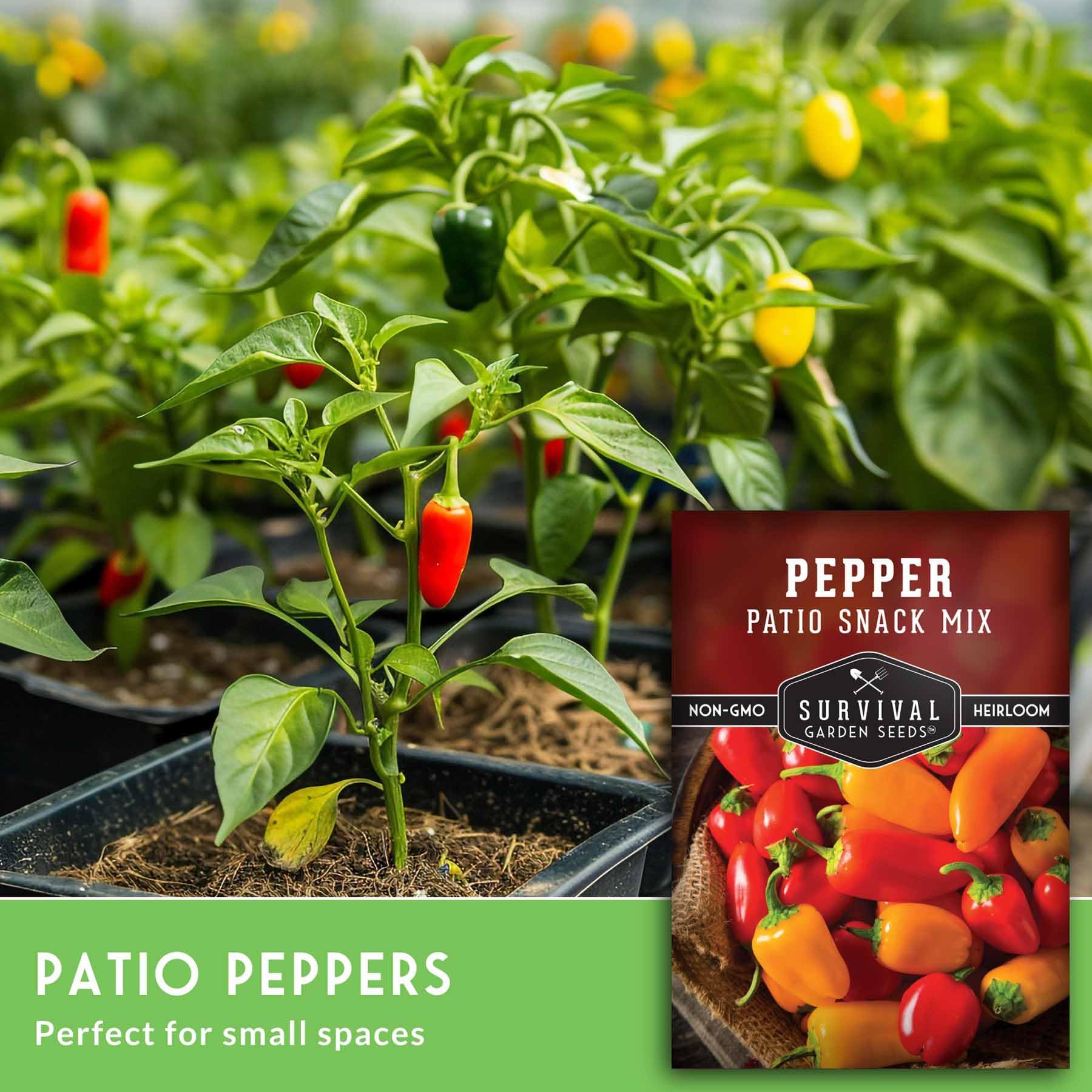 SURVIVAL GARDEN SEEDS patio snack mix peppers in orange, perfect for salads.