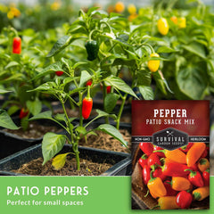 SURVIVAL GARDEN SEEDS patio snack mix peppers in orange, perfect for salads.