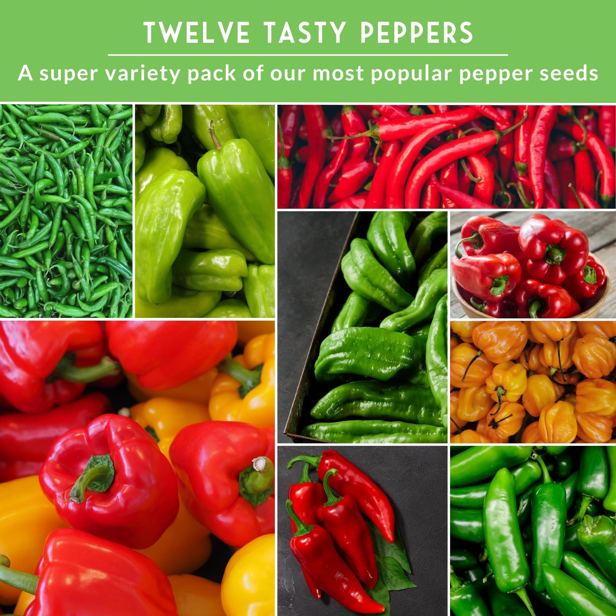 Survival Garden Seeds Anaheim peppers perfect for roasting and milder heat