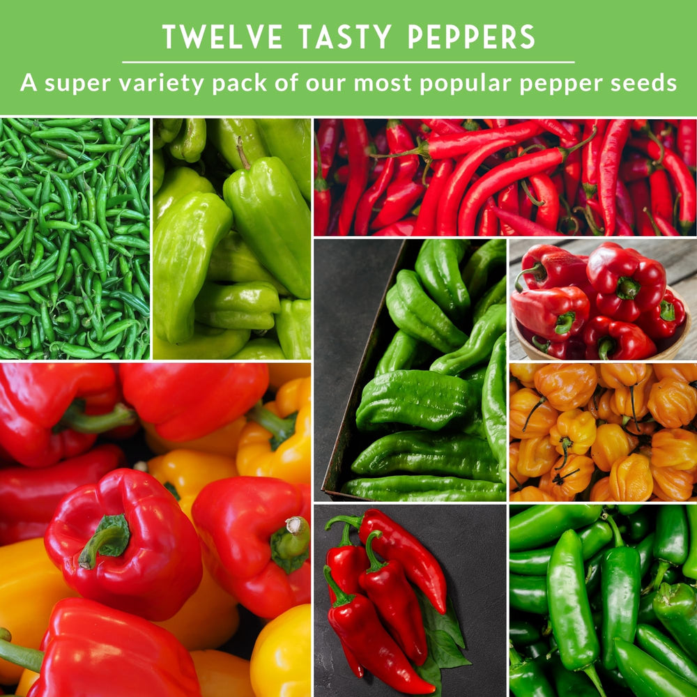 Survival Garden Seeds Anaheim peppers perfect for roasting and milder heat