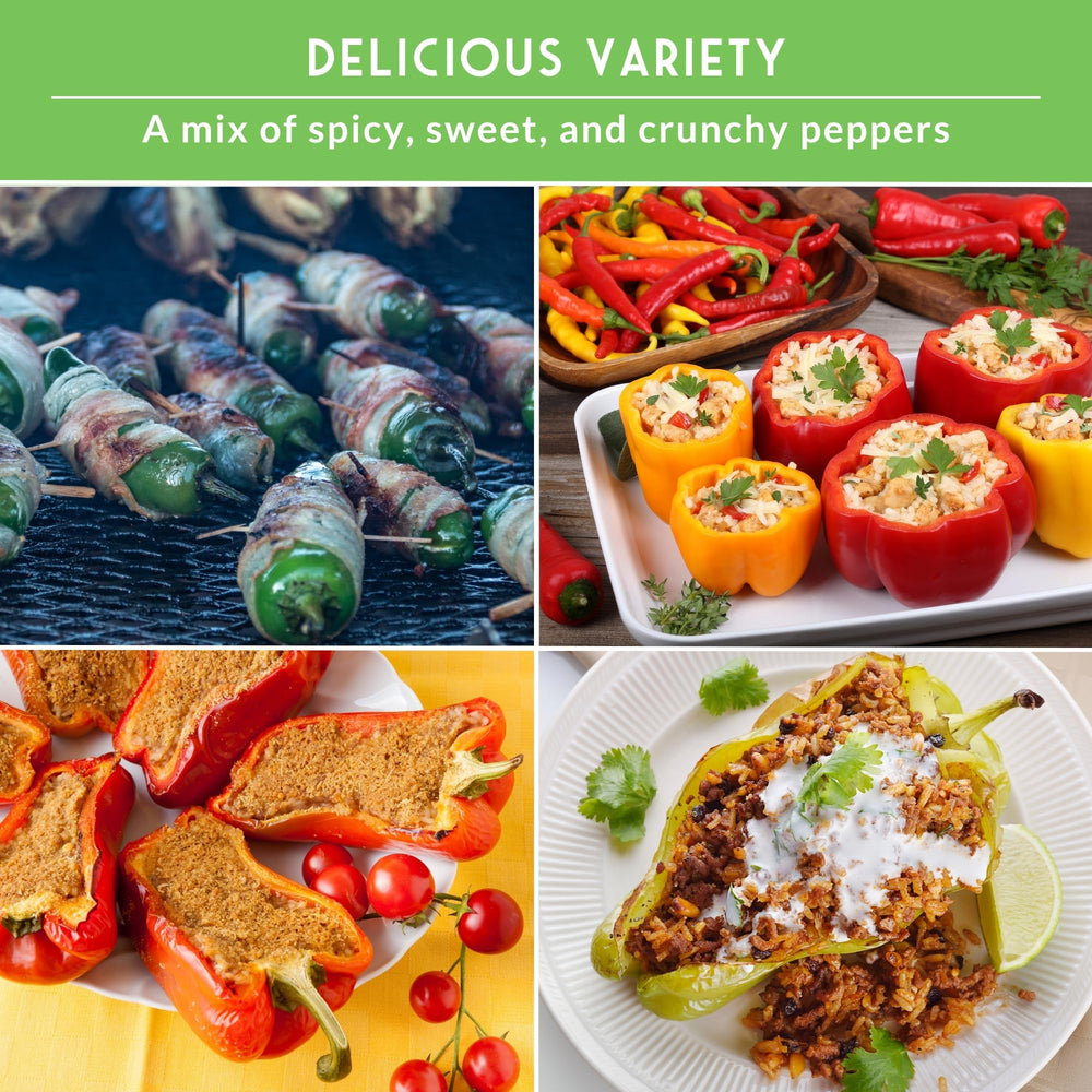 Survival Garden Seeds bell California Wonder peppers for crisp stuffing and salads