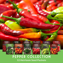 Survival Garden Seeds cayenne peppers ideal for drying and spicy seasonings