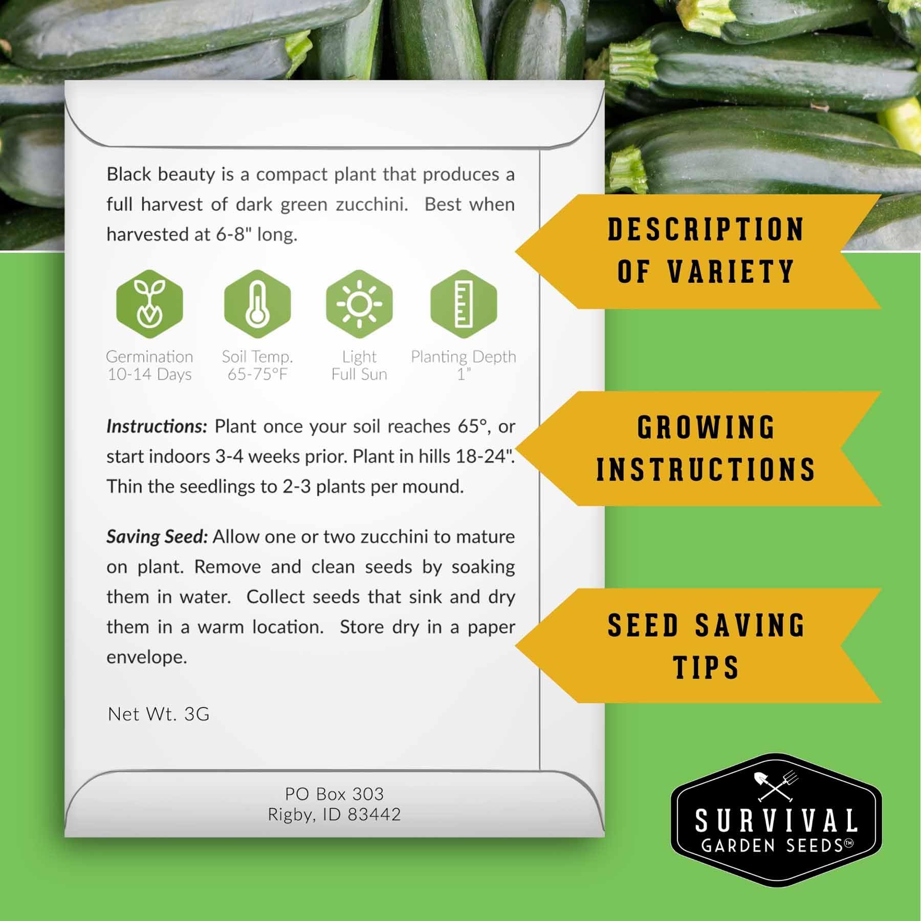 SURVIVAL GARDEN SEEDS Round Zucchini seeds ideal for bush planting