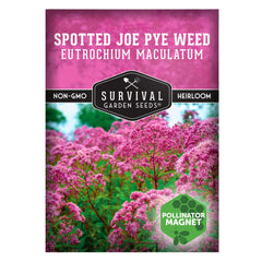 SURVIVAL GARDEN SEEDS Spotted Joe Pye Weed seed pack supports pollinators with late-summer blooms