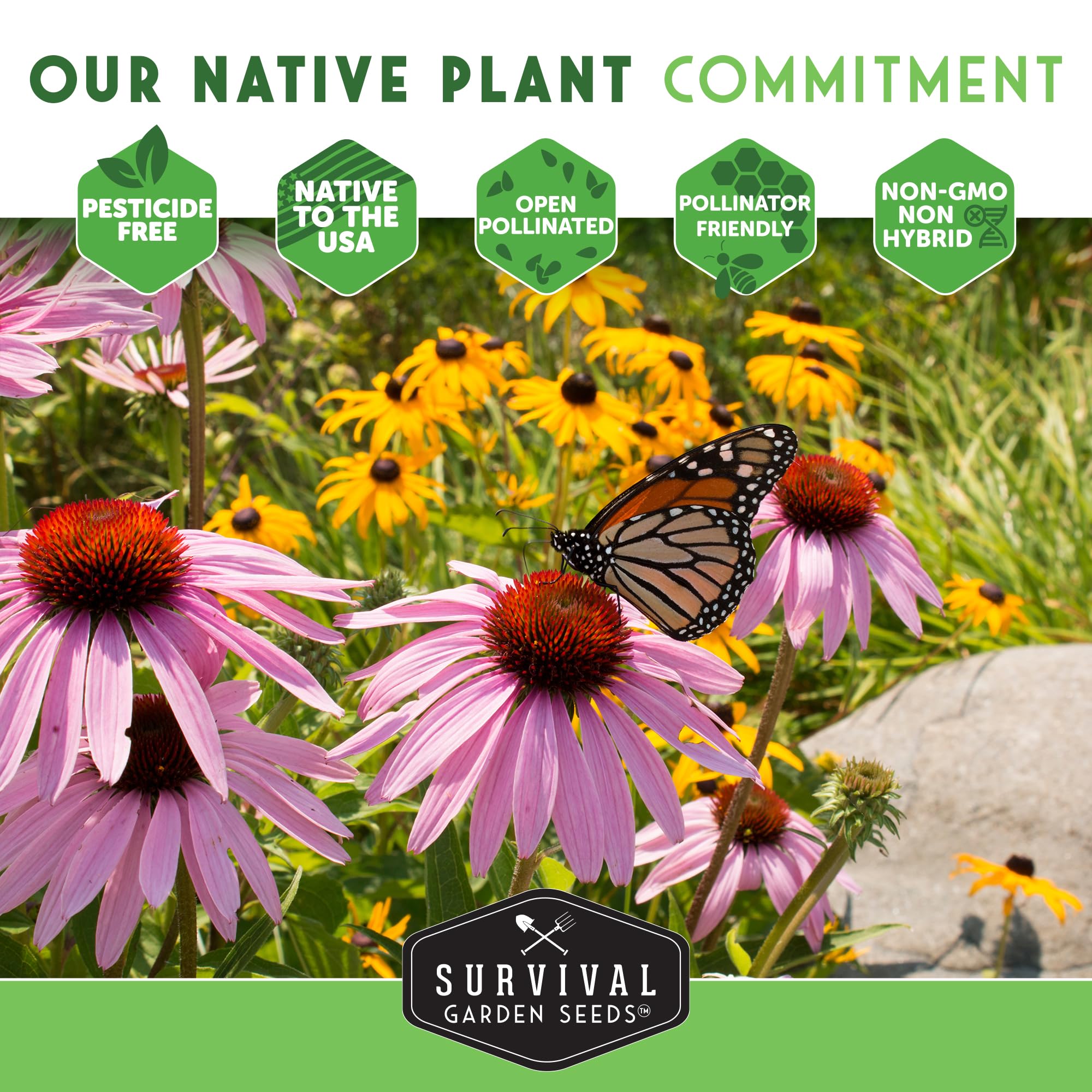 SURVIVAL GARDEN SEEDS Spotted Joe Pye Weed seed-saving tips included for future plantings