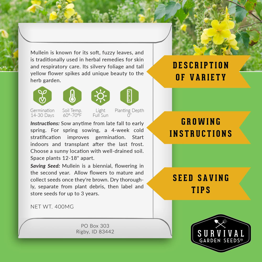 Survival Garden Seeds st-johns-wort-leaf close-up for mood-support blends