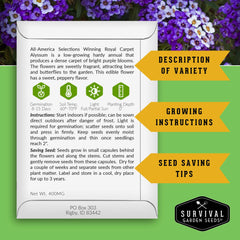 Survival Garden Seeds sweet royal carpet purple alyssum blooms attract pollinators.