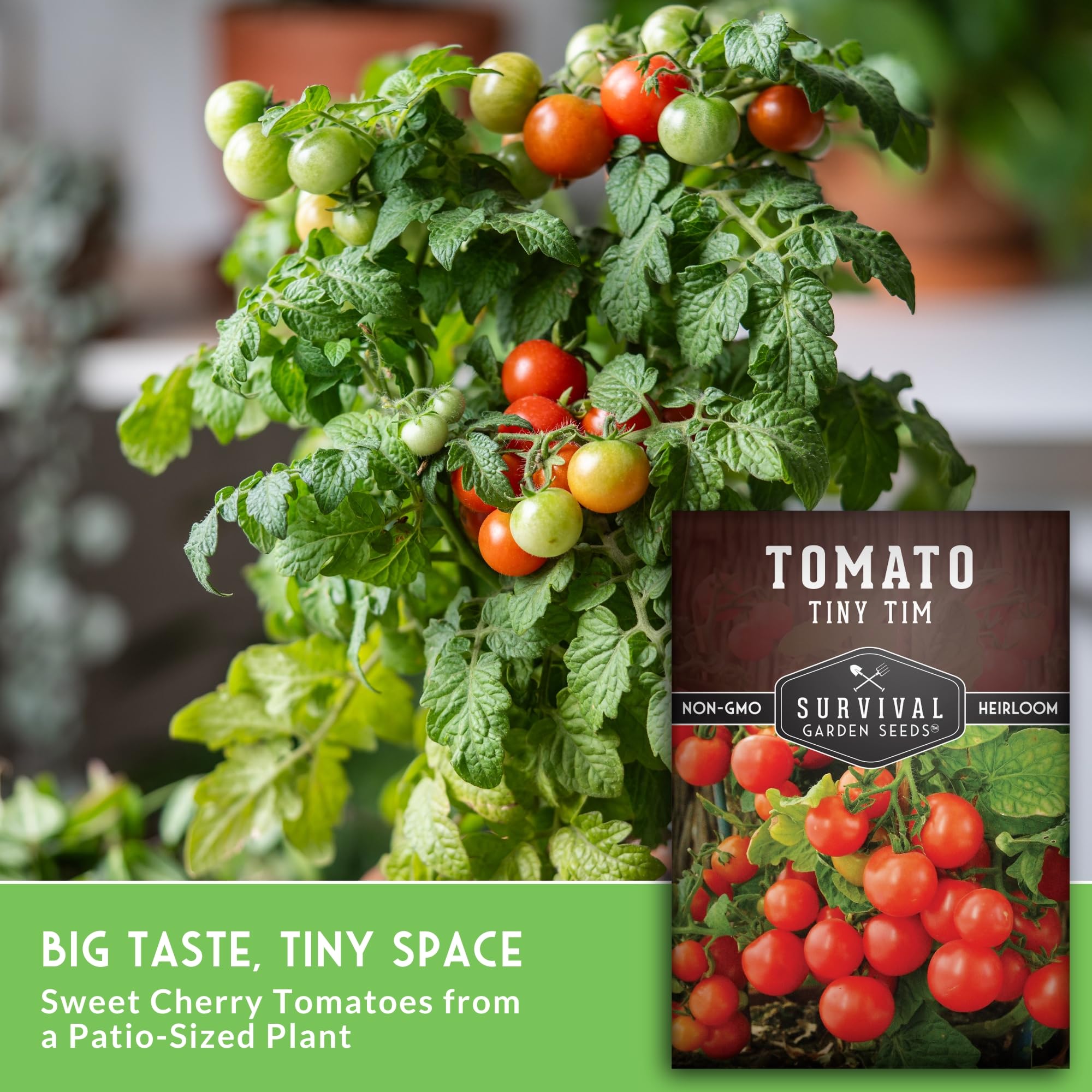Survival Garden Seeds Tiny Tim plants offer fresh flavor for indoor meals and snacks.