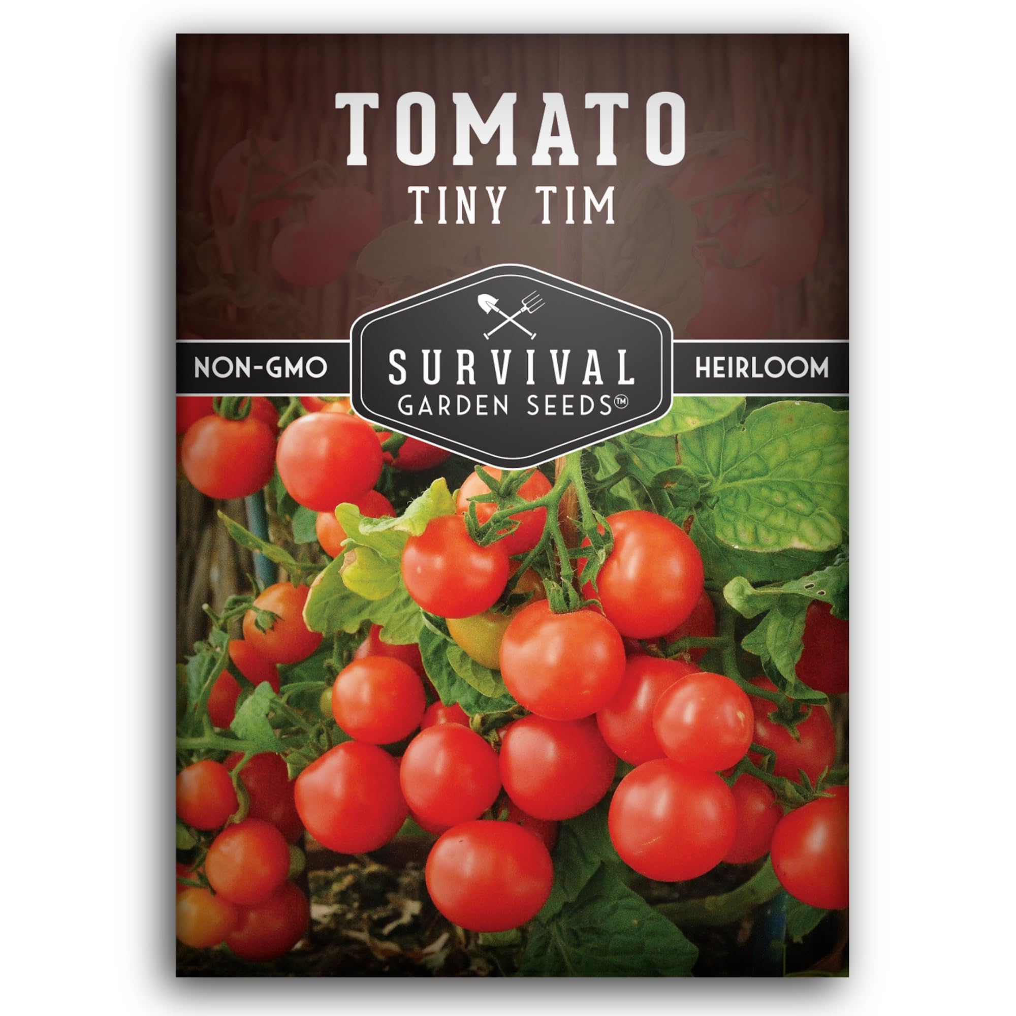 Survival Garden Seeds Tiny Tim tomatoes on a dwarf plant in a pot for small spaces.