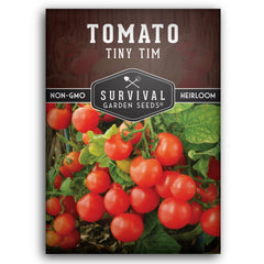 Survival Garden Seeds Tiny Tim tomatoes on a dwarf plant in a pot for small spaces.